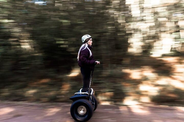Segway the Tsitsikamma: 2-Hour Ride Through Storms River Village and the Big Tree photo 5