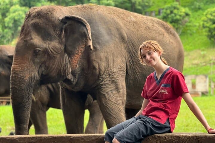 Ethical Elephant Observation at Ran-Tong Save & Rescue Centre — Chiang Mai Day Tour photo 5