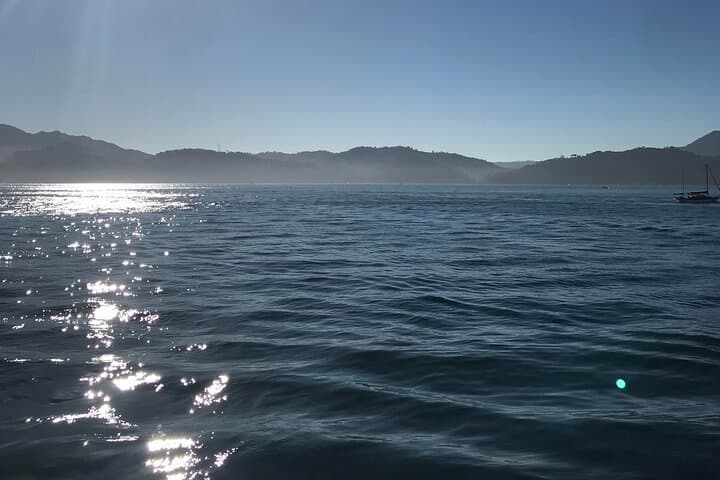 Full-Day Arrábida Guided Tour from Lisbon: Beaches, Vineyards & Views photo 3
