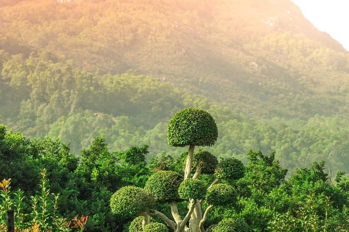 Sunrise Hike & Mangrove Kayak: Din Daeng Doi Morning Adventure in Krabi