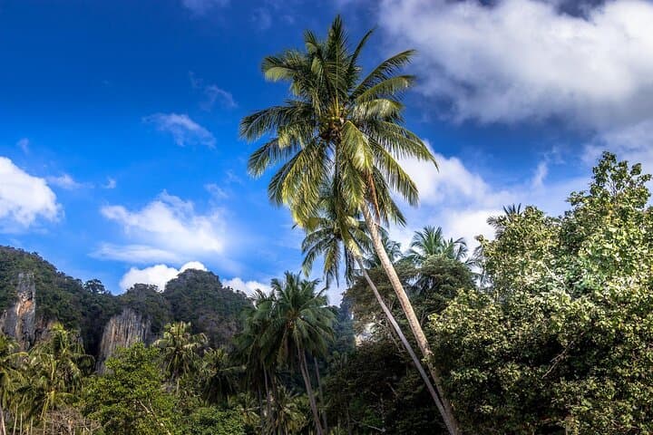 Sunrise Hike & Mangrove Kayak: Din Daeng Doi Morning Adventure in Krabi photo 2
