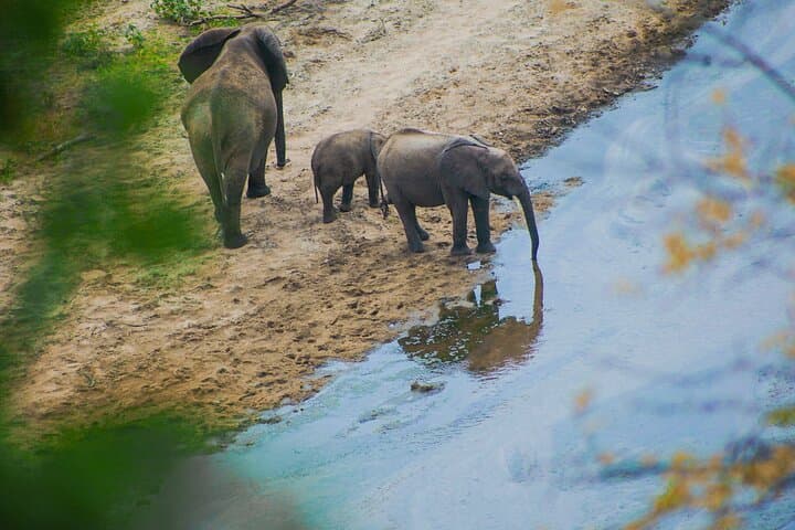2-Day Safari: Ngorongoro Crater & Tarangire from Zanzibar photo 3