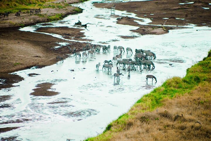 2-Day Safari: Ngorongoro Crater & Tarangire from Zanzibar photo 1