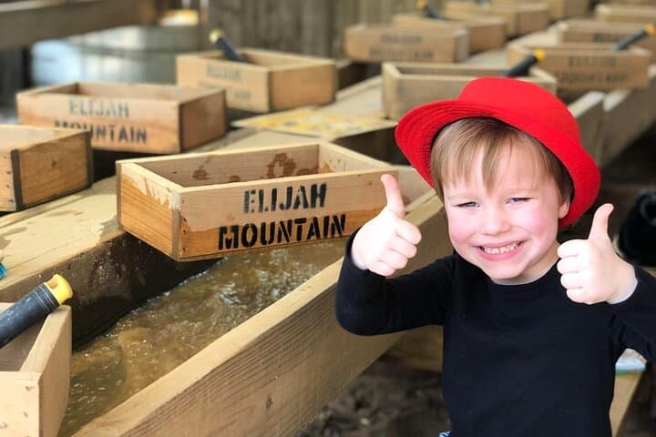 Hendersonville Gem Mining & Goat Farm Walk — Family-Friendly Mining, Aviary & Crystal Shop photo 4
