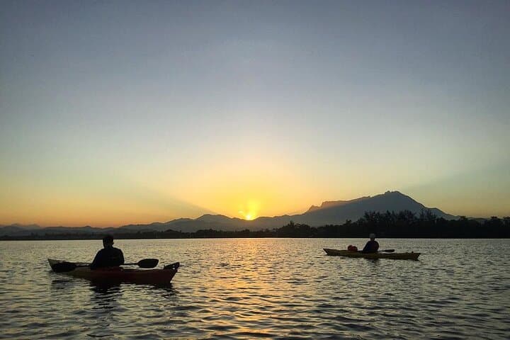 Sunrise Kayak Through Kota Kinabalu Mangroves with Mt. Kinabalu Views photo 2
