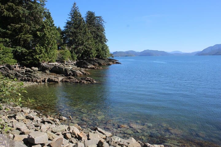 Ketchikan Native Cultural and Wildlife Tour: Totems, Bears & Eagles photo 3