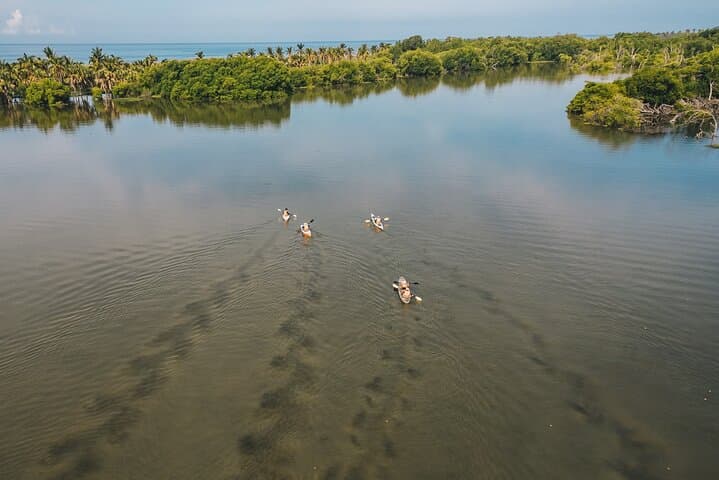 Kayak Manialtepec Lagoon from Puerto Escondido — Morning Birding & Estuary Paddle photo 3