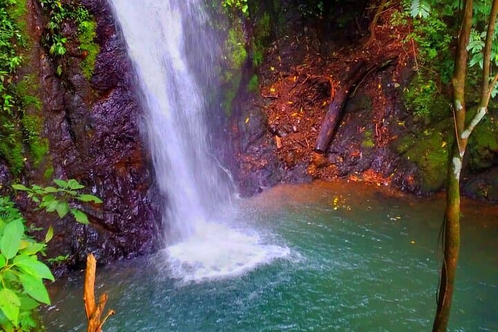 Jaco 10-Waterfall Hike at Finca los Solís — Rainforest Pools & Costa Rican Lunch photo 2