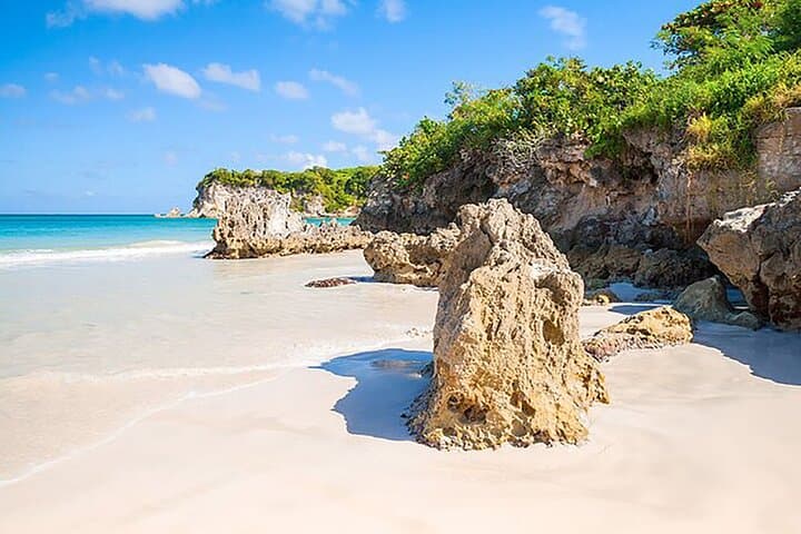 Experience the Authentic Heart of Punta Cana on a Half-Day Tour photo 4