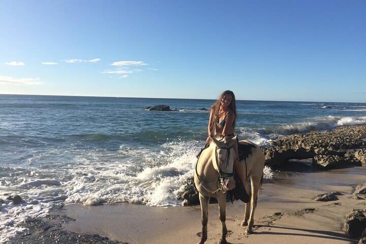 Tamarindo Beach Horseback Riding: Sunrise & Sunset Beach Tours photo 2