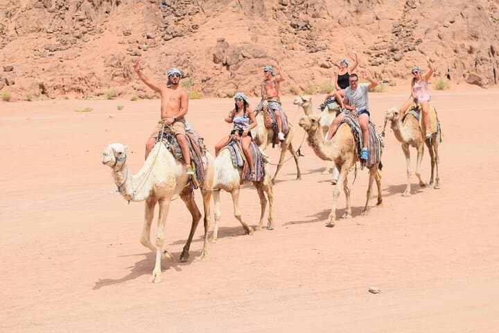 Hurghada Desert Jeep Safari: Camel Ride, Bedouin Dinner & Stargazing