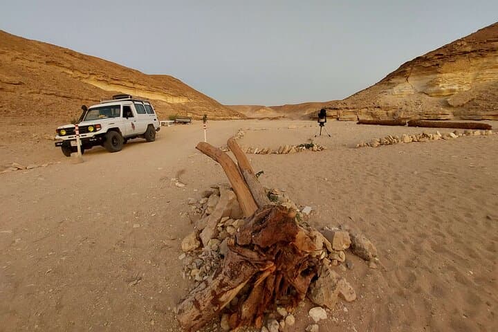 Hurghada Desert Jeep Safari: Camel Ride, Bedouin Dinner & Stargazing photo 5