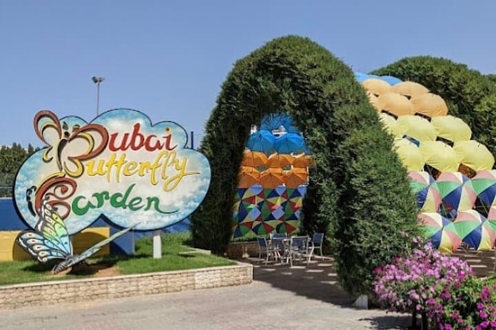Explore Dubai Butterfly Garden: Inside the World's Largest Covered Butterfly Domes