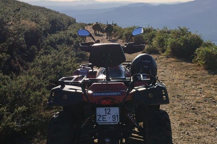 Buggy and Moto4 Tour Through Melgaço: Minho River Views & All‑Terrain Thrills photo 5