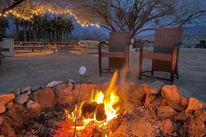 Las Vegas VIP Sunset Safari: Camel Encounters & Mojave Sunset Experience photo 2