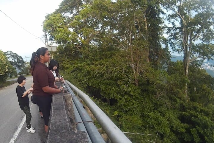 Langkawi Rainforest Afterdark: Night Wildlife Drive & Gunung Raya Walk photo 3