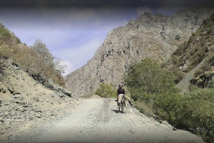 Shirkent Park Dinosaur Tracking — One-Day Tour from Dushanbe photo 4