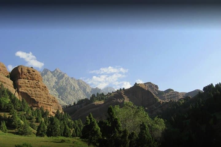Shirkent Park Dinosaur Tracking — One-Day Tour from Dushanbe photo 6