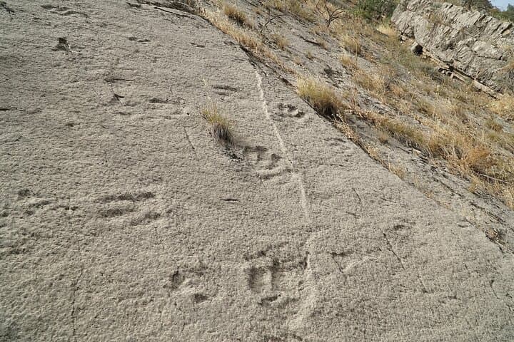 Shirkent Park Dinosaur Tracking — One-Day Tour from Dushanbe photo 3
