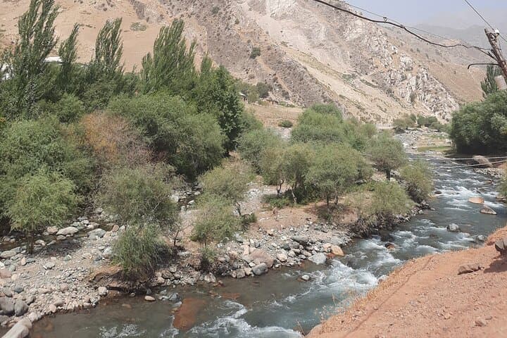 Shirkent Park Dinosaur Tracking — One-Day Tour from Dushanbe photo 5