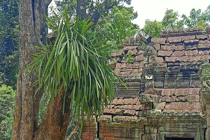 Private Angkor Wat Guided Sunset Tour: Angkor Wat, Bayon & Ta Prohm at Sunset photo 6