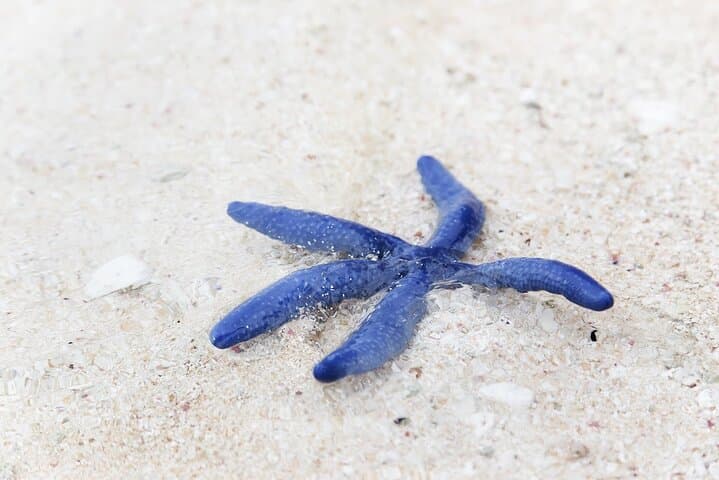 Desaru Coast Tidepool Walk: Beachlife & Tidepool Discovery in Johor photo 4