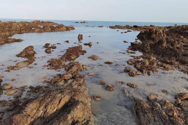 Desaru Coast Tidepool Walk: Beachlife & Tidepool Discovery in Johor photo 5