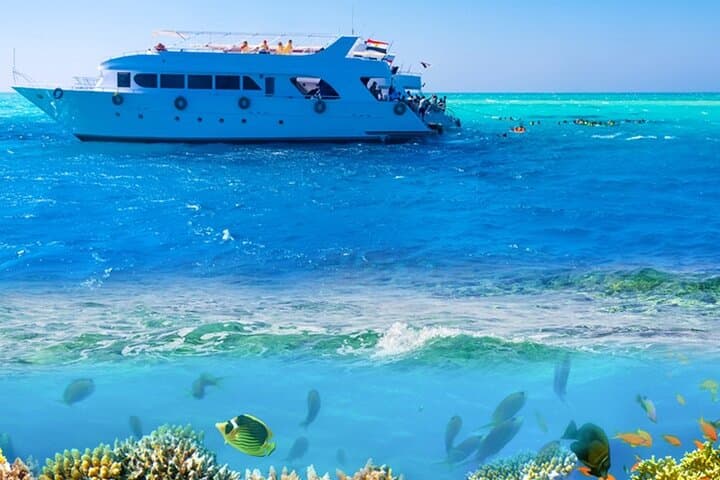 Ras Mohammed National Park Snorkeling Day Trip from Sharm El Sheikh photo 4