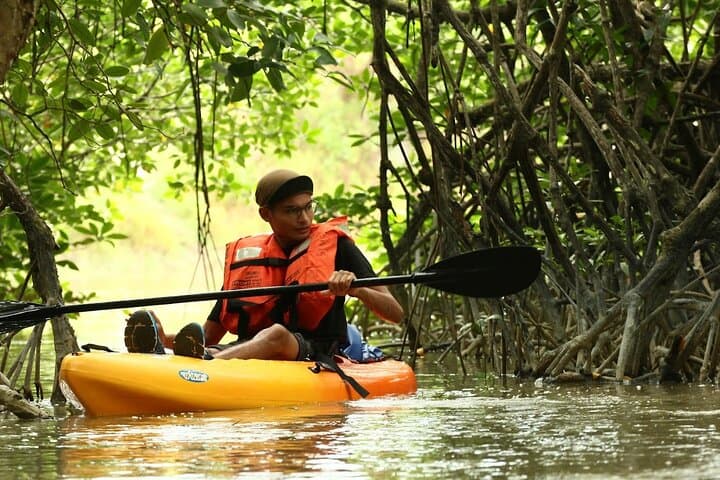 Lebam River Kayaking Adventure: Paddle the Mangroves from Desaru Coast