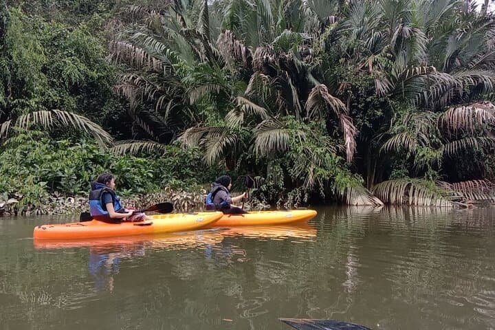Lebam River Kayaking Adventure: Paddle the Mangroves from Desaru Coast photo 3
