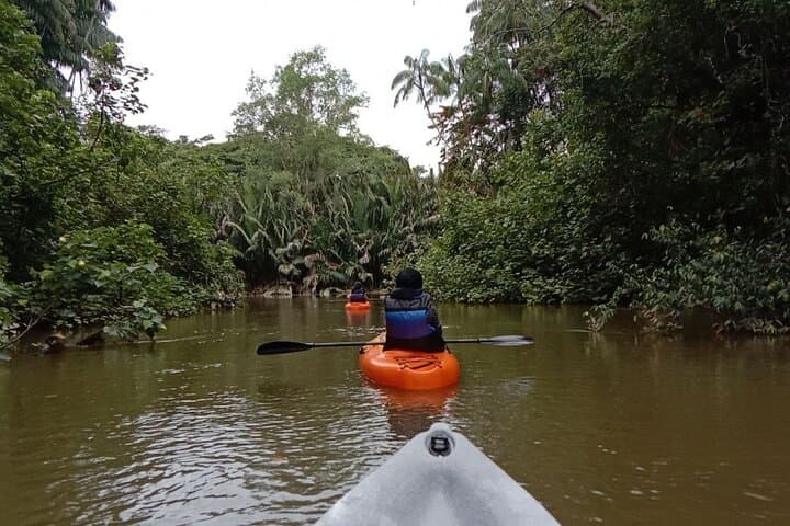 Lebam River Kayaking Adventure: Paddle the Mangroves from Desaru Coast photo 4