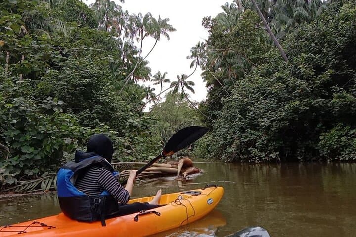Lebam River Kayaking Adventure: Paddle the Mangroves from Desaru Coast photo 5