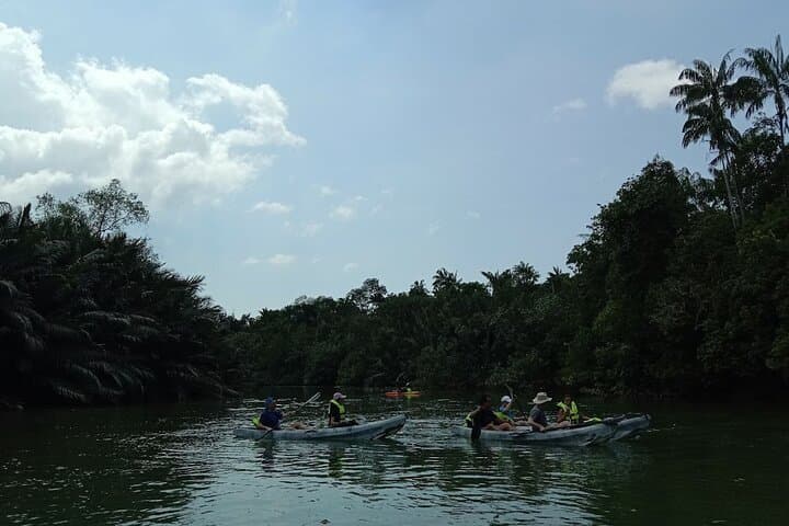 Lebam River Kayaking Adventure: Paddle the Mangroves from Desaru Coast photo 6