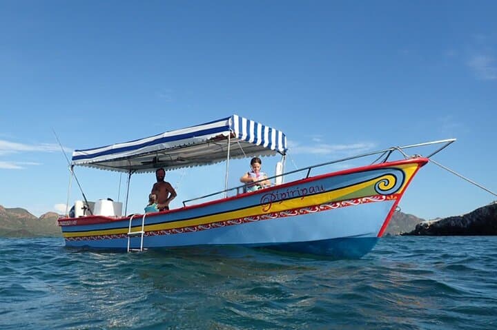 San Carlos Coast Boat Tour with Marine Biologist — Dolphin, Bird & Snorkel in Bahia San Carlos