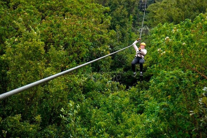Monteverde Extreme Zipline: 1km Superman, Tarzan Swing & 30m Rappel in the Cloud Forest photo 2
