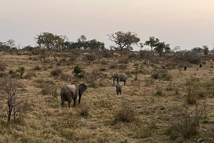 3-Day Kruger National Park Big Five Safari from Johannesburg photo 2