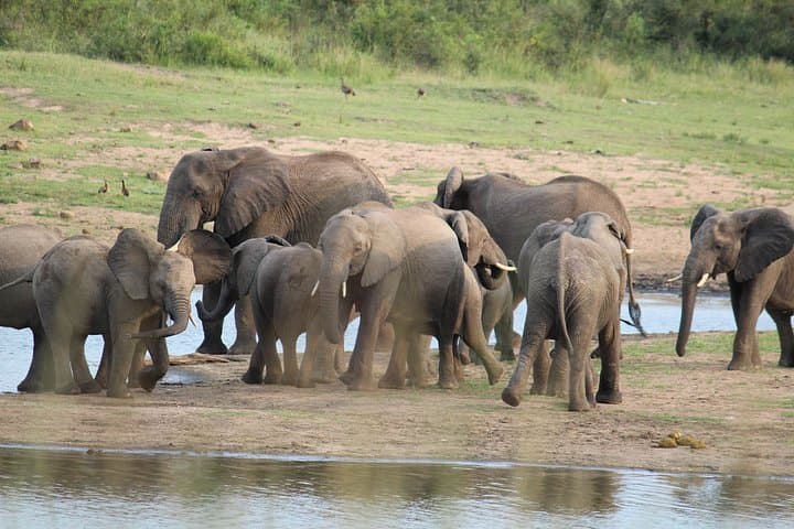 3-Day Kruger National Park Big Five Safari from Johannesburg photo 4