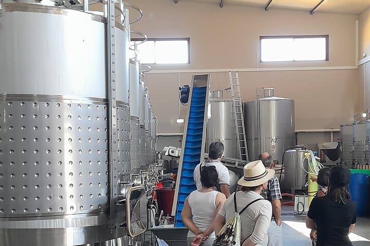 Private Lagos & Ponta da Piedade Tour with Algarvian Wine Tasting photo 4