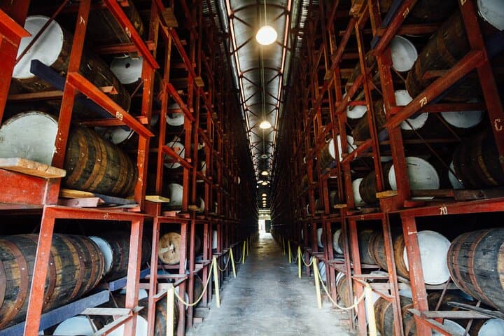 Appleton Rum Estate and YS Falls Day Trip from Montego Bay photo 6