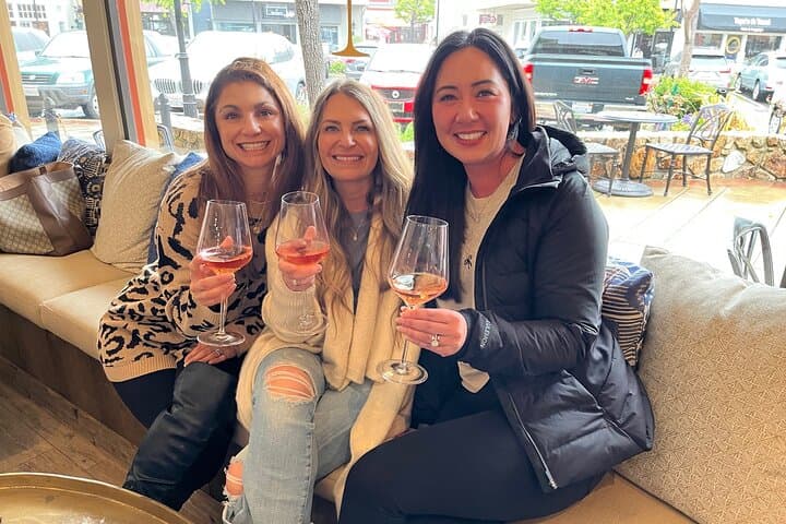 Monterey Peninsula Wine Tasting in a Vintage VW Bus photo 5