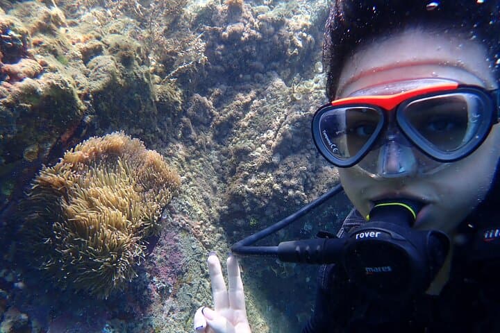Two Boat Dives at Hon Mun Marine Park — Certified Diver Day Trip from Nha Trang photo 4