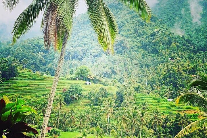 Sekumpul Waterfall & Handara Gate: North Bali's Seven Falls and Wanagiri Views photo 2