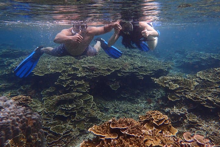 Anilao Snorkel Safari: Discover Batangas' Vibrant Coral Gardens