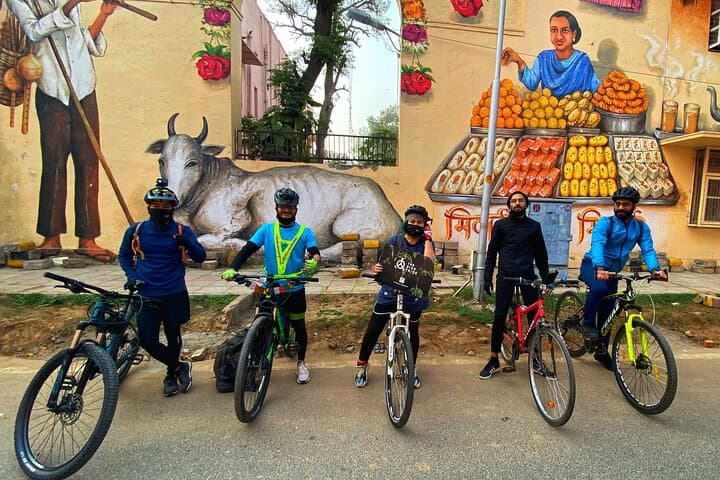 Delhi Heritage Cycling: Lodhi Gardens, Safdarjung & Lodhi Art District photo 2