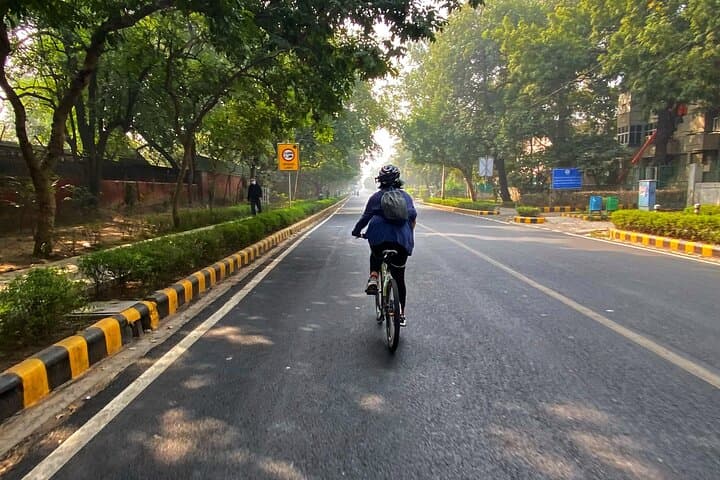 Delhi Heritage Cycling: Lodhi Gardens, Safdarjung & Lodhi Art District photo 5