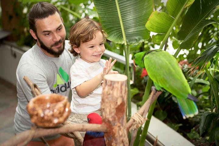 Inside The Green Planet Dubai: City Walk’s Indoor Tropical Bio-Dome photo 2