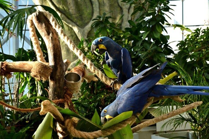 Inside The Green Planet Dubai: City Walk’s Indoor Tropical Bio-Dome photo 3