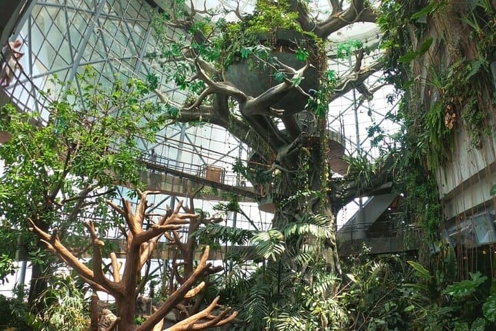 Inside The Green Planet Dubai: City Walk’s Indoor Tropical Bio-Dome photo 5