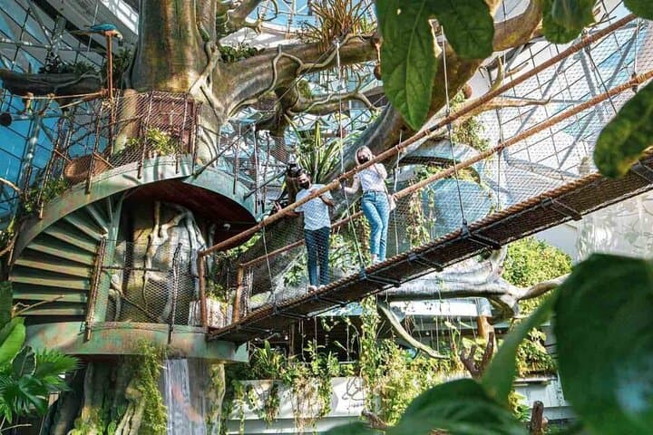 Inside The Green Planet Dubai: City Walk’s Indoor Tropical Bio-Dome photo 6