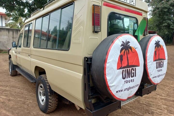 Kilimanjaro via Marangu Route: 6-Day Hut-to-Hut Summit from Moshi photo 4